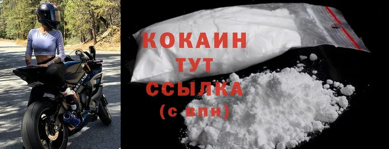 Cocaine Fish Scale  мега сайт  Чита  купить закладку 